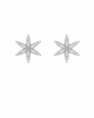 Brinco Prata Folhas 8mm